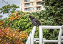 Week 28 - Portraits 5.JPG