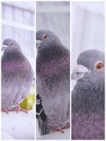 Week 28 - Portraits Week 28 - Portraits 3.JPG