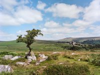 004 Vixen Tor 03 6x4.5-000157990006 PS Adj Upload.jpg 004 Vixen Tor 03 6x4.5-000157990006 PS Adj Upload.jpg