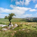 005 Vixen Tor 04-000157990007 PS Adj Upload.jpg 005 Vixen Tor 04-000157990007 PS Adj Upload.jpg