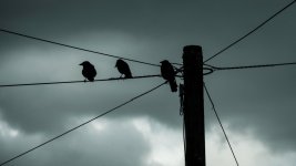 Silhouettes against a Stormy Sky 01-1047 PS Adj Upload.jpg