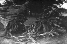 EmptyName 4.jpg EmptyName 4.jpg