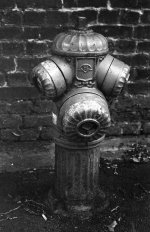 1752664191407.jpeg 1752664191407.jpeg