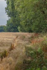 Week 27 - Deserted-1.jpg