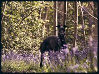 Week 28 - Portraits-1.jpg