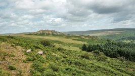 013 Leather Tor 02-1508 PS Adj Upload.jpg 013 Leather Tor 02-1508 PS Adj Upload.jpg