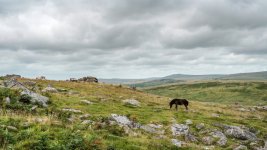 018 Little Sharpitor 03-3262 PS Adj Upload.jpg 018 Little Sharpitor 03-3262 PS Adj Upload.jpg