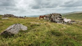 019 Little Sharpitor 04-1534 PS Adj Upload.jpg