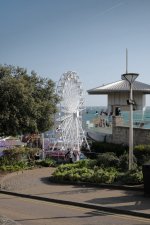 DSCF6336.jpeg DSCF6336.jpeg