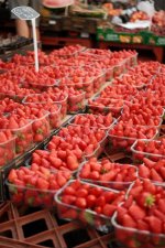 DSCF6795.jpeg DSCF6795.jpeg