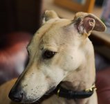 week 28 Portrait.jpg