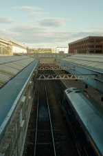 DSCF7304.jpeg DSCF7304.jpeg