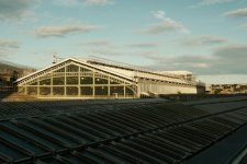 DSCF7289.jpeg DSCF7289.jpeg