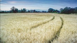 common4v1600v3letterbox.jpg common4v1600v3letterbox.jpg