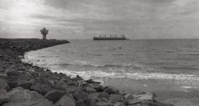 Week  15 Snappers Choice.jpg