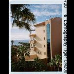 IMG_3494.JPG IMG_3494.JPG