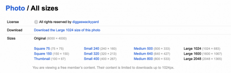 Screenshot 2025-07-31 at 19.21.50.png