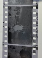 IMG_8315.jpeg IMG_8315.jpeg