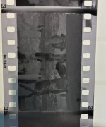 IMG_8317.jpeg IMG_8317.jpeg