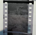 IMG_8319.jpeg IMG_8319.jpeg