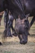 Week 30 - body part-1.jpg