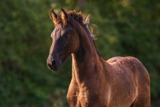 Week 31 -contrast-1.jpg