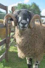 _7810495.jpg _7810495.jpg