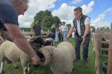 _7810553.jpg _7810553.jpg