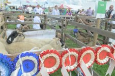 _7814919.jpg _7814919.jpg