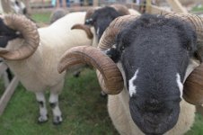 _7814945.jpg _7814945.jpg