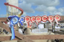 _7810604.jpg _7810604.jpg