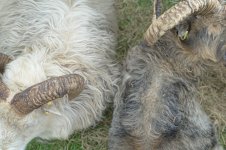 _7810632.jpg _7810632.jpg