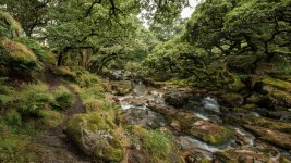 003 Bridleway (River Plym) 02-3235 PS Adj Upload.jpg 003 Bridleway (River Plym) 02-3235 PS Adj Upload.jpg