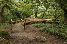 010 Shaugh Bridge 02-3257 PS Adj Upload.jpg 010 Shaugh Bridge 02-3257 PS Adj Upload.jpg