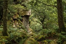 022 Dewerstone Rocks 06-9808 PS Adj Upload.jpg 022 Dewerstone Rocks 06-9808 PS Adj Upload.jpg