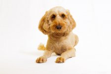 2025-07-19 15.00.45.jpg