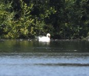 Double of subject.jpg