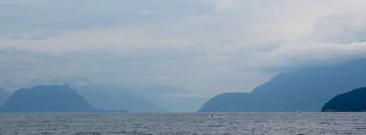 Aug 06-25 (1 of 1)-9.JPG