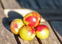 L1034474_DxO-L902-c.jpg L1034474_DxO-L902-c.jpg