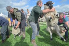 _7810745.jpg _7810745.jpg