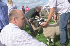 _7815074.jpg _7815074.jpg