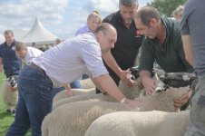 _7815087.jpg _7815087.jpg