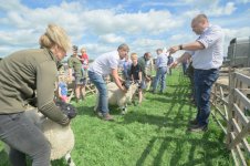 _7810838.jpg _7810838.jpg