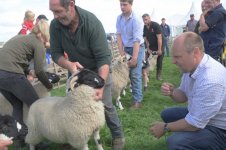 _7815138.jpg _7815138.jpg