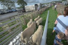 _7810717.jpg _7810717.jpg