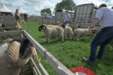 _7810801.jpg _7810801.jpg