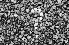 week 20 - Light and Dark.jpg