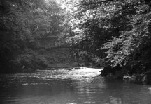 Tree shrouded bridge.jpg Tree shrouded bridge.jpg