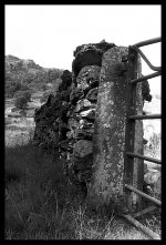 20250818_0087.jpg 20250818_0087.jpg