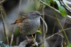 DSC_4851.jpg DSC_4851.jpg